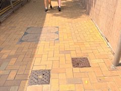-香港大学