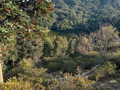 -广州市石门国家森林公园
