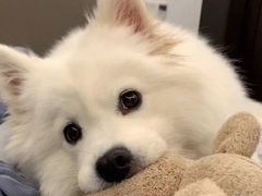 -中国工商银行(深圳西丽支行)