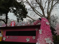 -东湖磨山景区樱花园-停车场