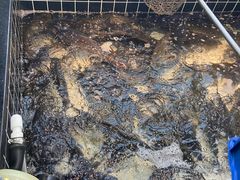 -边江铁锅炖鱼(振八街店)