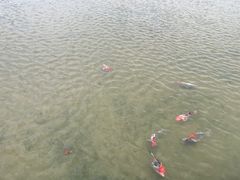 -东南大学(九龙湖校区)