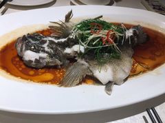 -维园悦谱·海派家常菜(乌鲁木齐南路店)