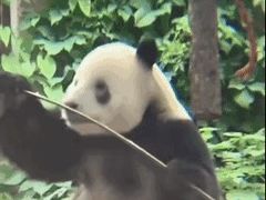 -纳鲁孜·新疆特色餐厅(上海悦荟广场店)