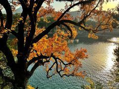 -溪口-滕头旅游景区