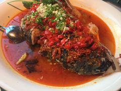 -坛宗剁椒鱼头(河西王府井店)