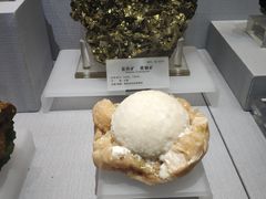 -湖南省地质博物馆