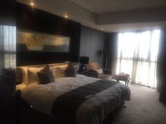 -常州环球恐龙城维景国际大酒店