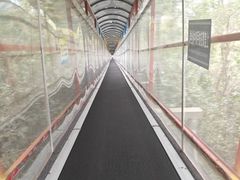 -七仙岭温泉国家森林公园