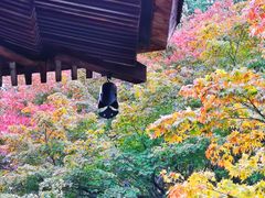 -常寂光寺