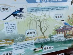 -香山公园