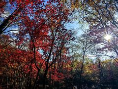-本溪老边沟风景区