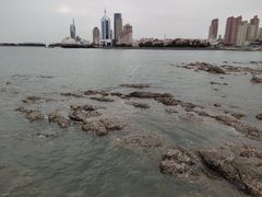 -青岛第一海水浴场