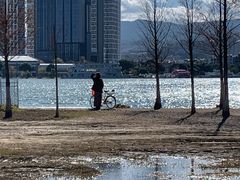-洱海月湿地公园
