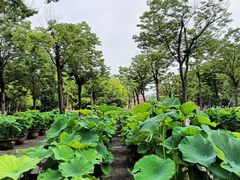 -杭州电子科技大学(下沙校区)