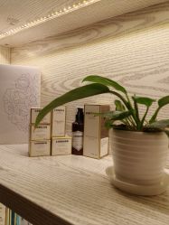 -东英经典SKIN&SPA