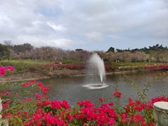 -广州莲花山旅游区