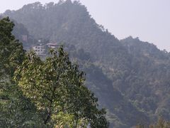 -南山植物园