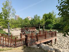 -莲花池公园