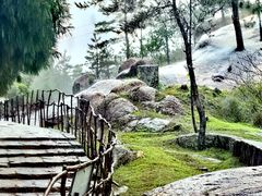 -玉苍山国家森林公园
