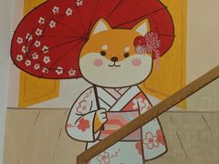 -是阿柴呀！柴犬咖啡·爱喵喵猫咖