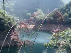 -白云源风景区