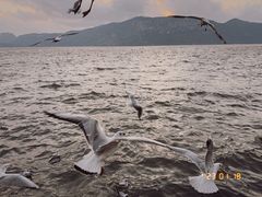 -海埂大坝