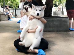 -TrueLove @ Neverland (Husky Cafe)