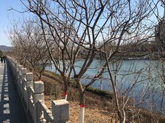 -永定河休闲森林公园