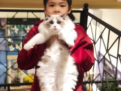 -小尾巴宠物店(万科·金域华庭店)