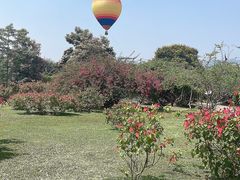 -中国科学院西双版纳热带植物园