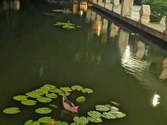 -三亚亚龙湾雅高铂尔曼别墅度假酒店