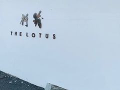-几荷·恰似故人来(秀水广场店)