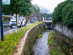 -龙坞茶村