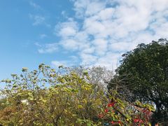 -穹窿山景区
