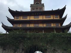 -王阿姨文昌油赞子(府桥街店)