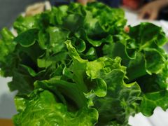-古乐牛香·鲜牛肉牛杂火锅(吴江三里桥运东商业广场店)