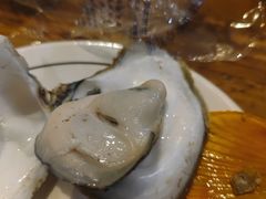 -土蚝·高压锅生蚝(百姓美食街店)