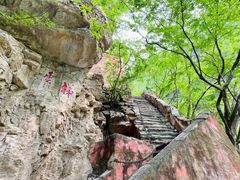 -北京上方山国家森林公园