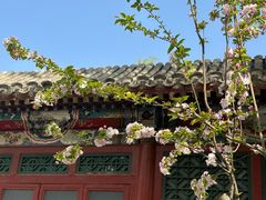-海棠花溪(元大都城垣遗址公园)