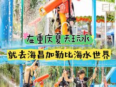 -重庆海昌加勒比海水世界