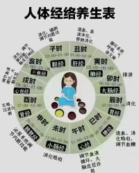 -诗碧曼养发