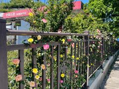 -新国线黄山风景区汽车站