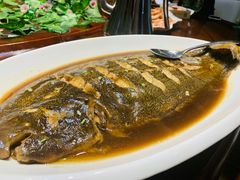 舌头鱼-青岛美食鲁菜大酒店