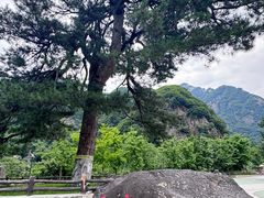 -秦岭终南山世界地质公园翠华山景区