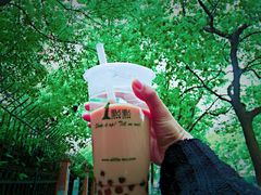 -1点点(文峰广场店)