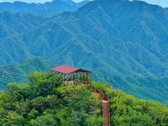 -大岭沟猕猴桃谷风景区