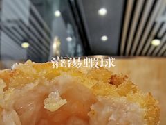 -丁老爷子苏香圆