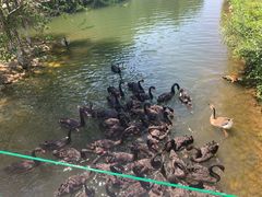 -长白岛森林公园