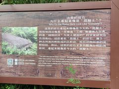 -美人谷景区